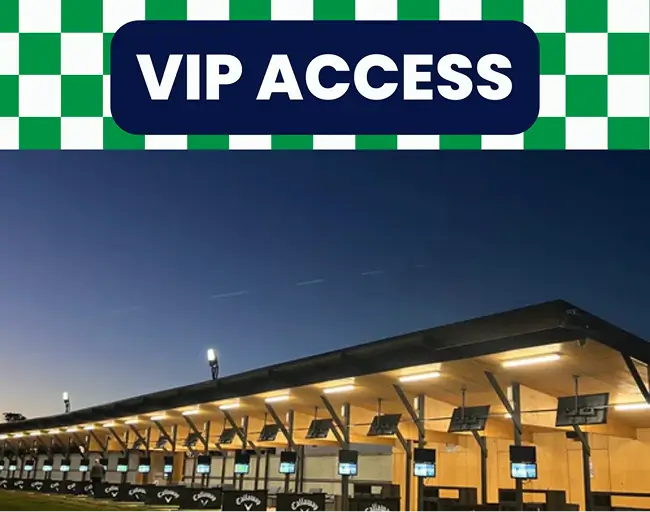VIP Access